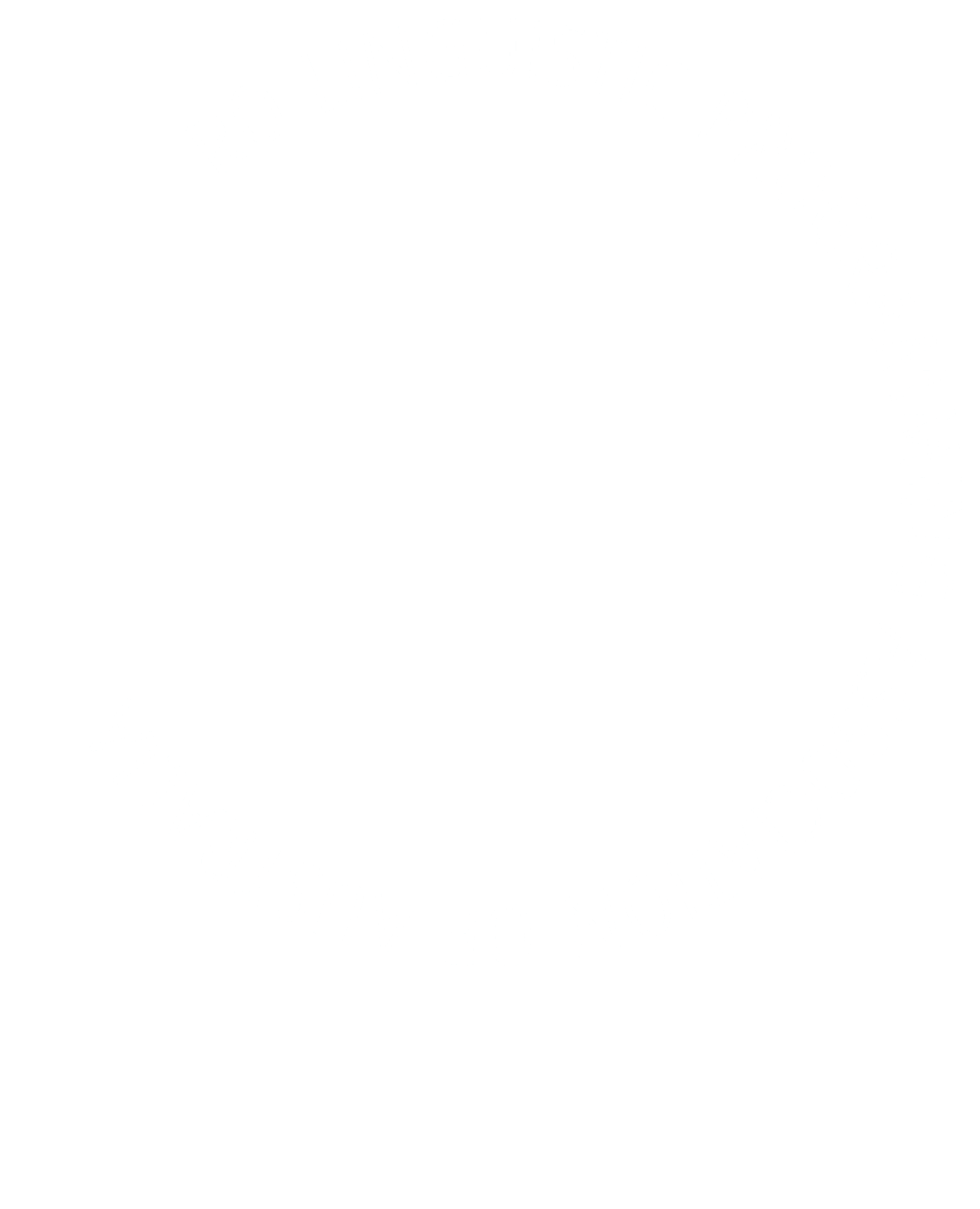 NLPAA Logo