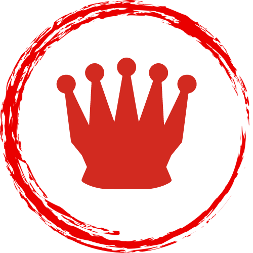 Skaktraening logo