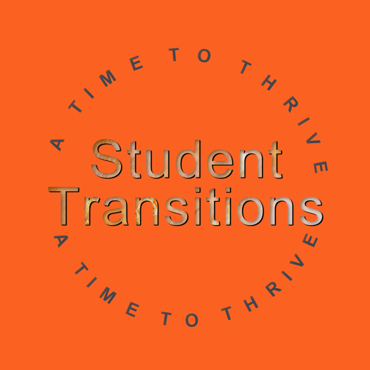 successful-student-transitions-louise-wiles-coaching