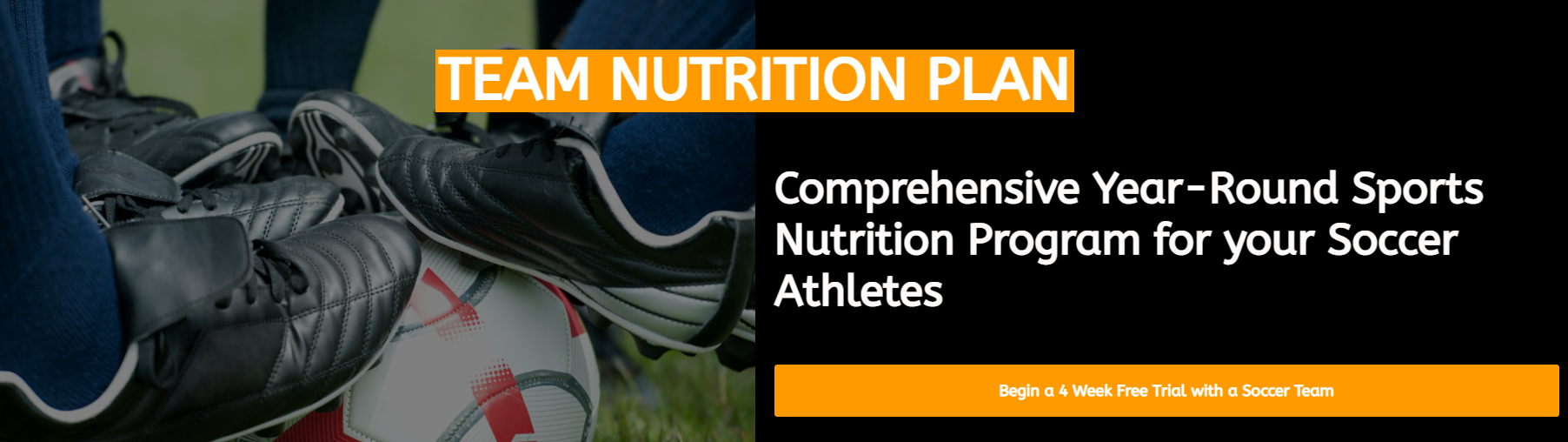 Team sports nutrition program