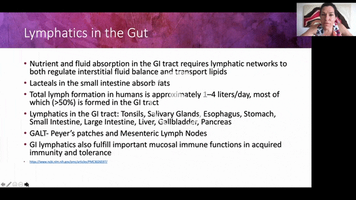 VIDEO Lymph SRS Schaffner final