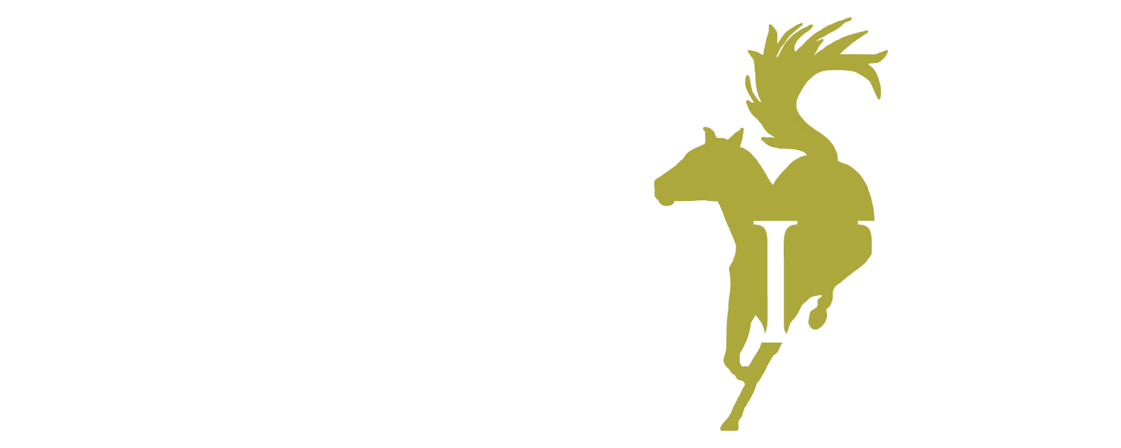 Unbridled LLC/Kim Hallin logo