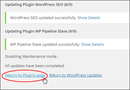 How To Automatically Upgrade And Delete Plugins