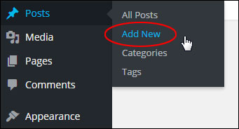 A Step-By-Step Guide To Creating A New Post In WordPress