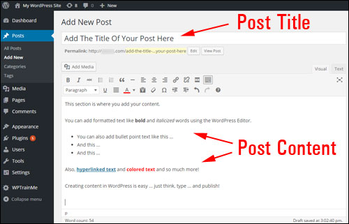 Step-By-Step Guide To Creating A WordPress Post