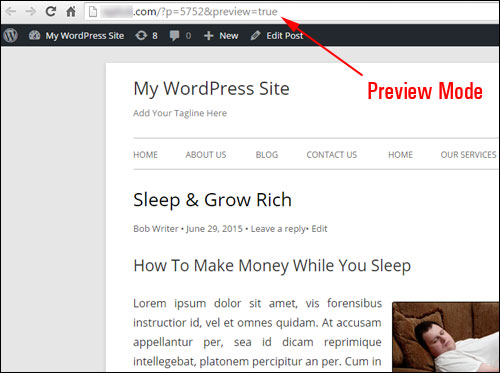 In 'Preview Mode' your post is not made visible to site visitors