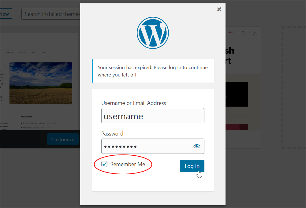 WordPress Log In Box with Remember Me ticked.