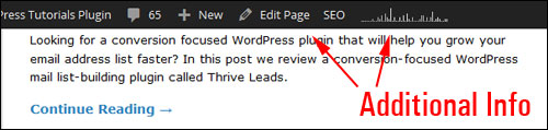 WordPress Dashboard Admin Toolbar displaying additional info.