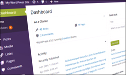 How To Customize Your WordPress Dashboard