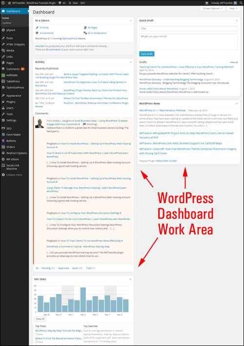 WordPress dashboard working area.