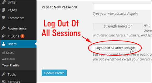 Log Out of All Other Sessions button.