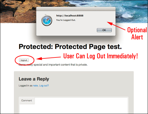 Protected Page with Logout button.