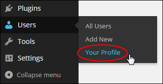 User Profile Screen