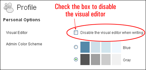 Disabling the WordPress visual editor