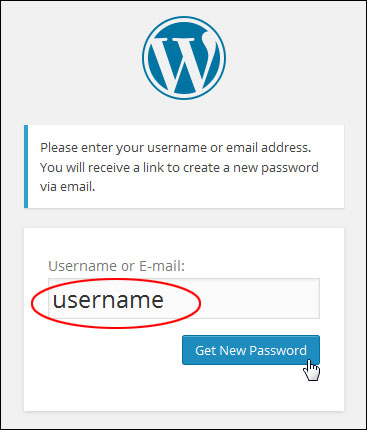 WordPress password reset box