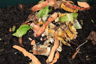 Vegetable peel, banana skins, pea pods, tea and coffee grounds, a bit of pasta - all good food for worms.