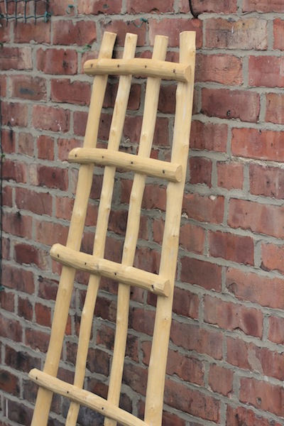 A trellis from coppiced hazel, made by Mike Carswel