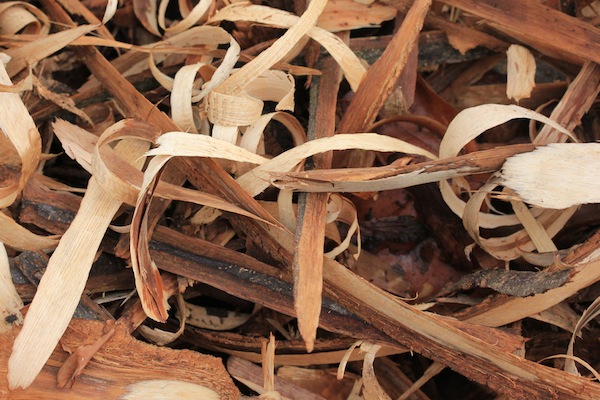 Nothing is wasted. These wood shavings will be used as a mulch or dried and used as fire lighters.