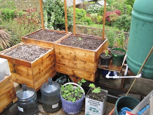 How to make a genuinely 'self-watering' container garden