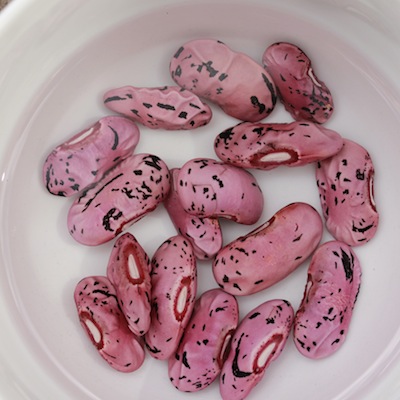 Soaking runner beans in water overnight before sowing can speed up the germination process.