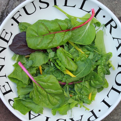 As growth speeds up in warmer weather, you'll start being able to harvest more to eat. At the beginning of the month you'll probably be getting lots of leafy greens, with peas, broad beans and potatoes following later in the month (depending on the year and where you live).