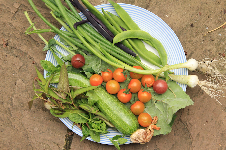 August home grown stir fry: courgettes, runner beans, French beans, tomatoes, kale, spring onions, Vietnamese coriander and mint. 