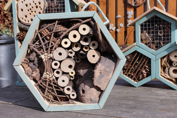 Bee and insect hotel made by Marta Zientek and Wojciech.