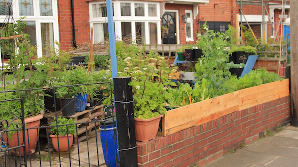 The Wall of Veg. I removed the old fence on top of the brick wall and replaced it with containers. I added a facade made of pallets to hide the containers. 