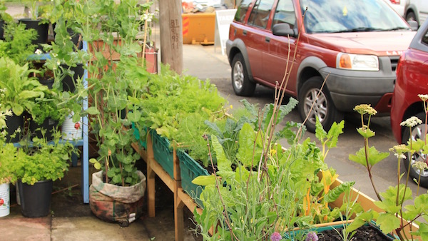 Crates, bags, buckets and tins. Most of the containers are recycled.