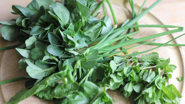 The flavour of spring - mint, chives and fava shoots to lift a stir fry.