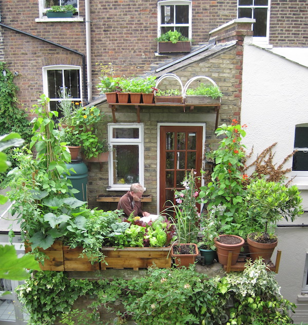 Growing food on the balcony helped me feel closer to nature and the seasons in central London.