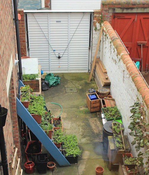 Concrete backyard shortly after moving in - a soulless place with little life.