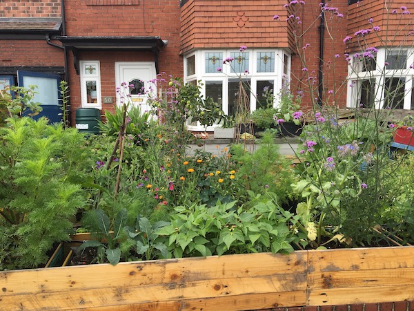 Edible plants and flowers change the feel of the concrete. 