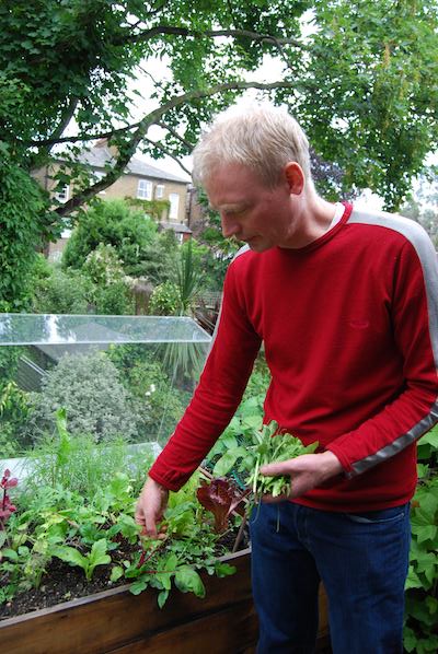 Picking your own salad is a completely different experience to buying it in the supermarket! 
