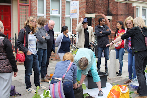 Food growing in the city - potato growing competition weigh in!