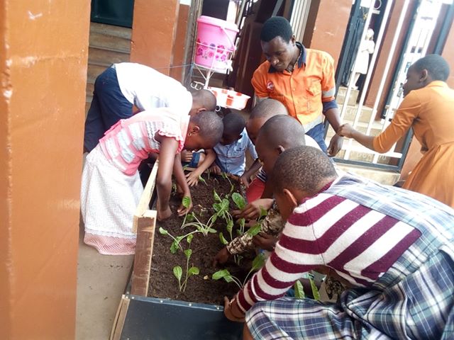 Murhula is training young people in food growing to help feed the city in the future. 