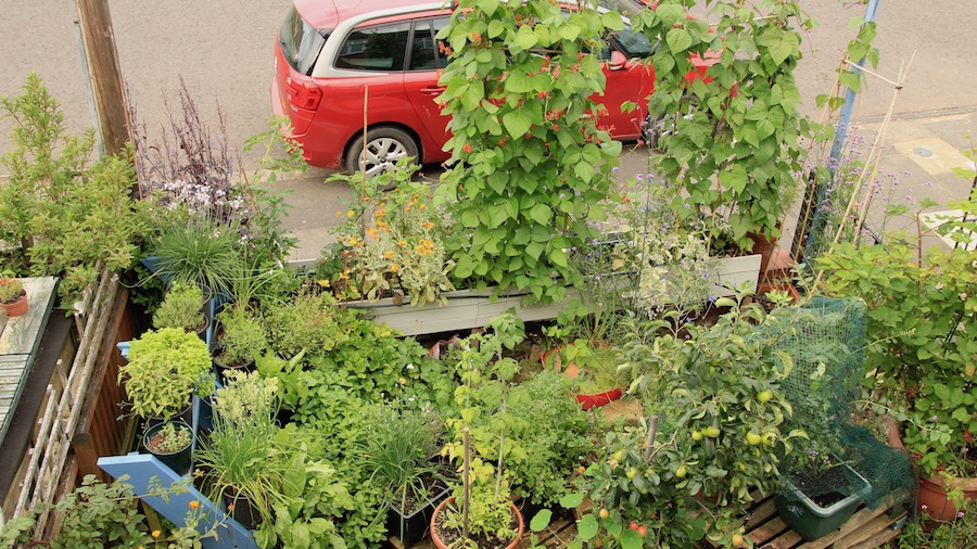 Installing an automatic watering system in my front yard saves me loads of time as there a LOT of containers. I still water by hand on most days - but the automatic system is invaluable on days I don't have fifteen minutes to spare! 