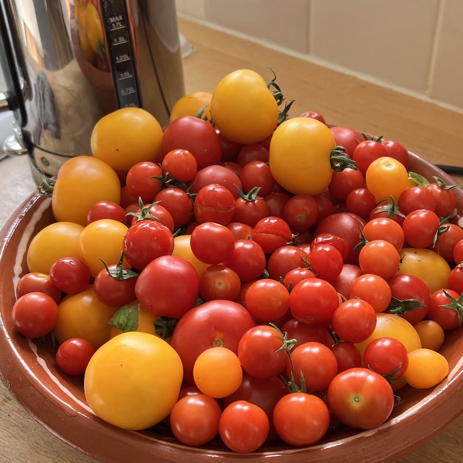 Several kilos of tomatoes harvested from containers - however many we grow, we seem to enjoy eating every one. 