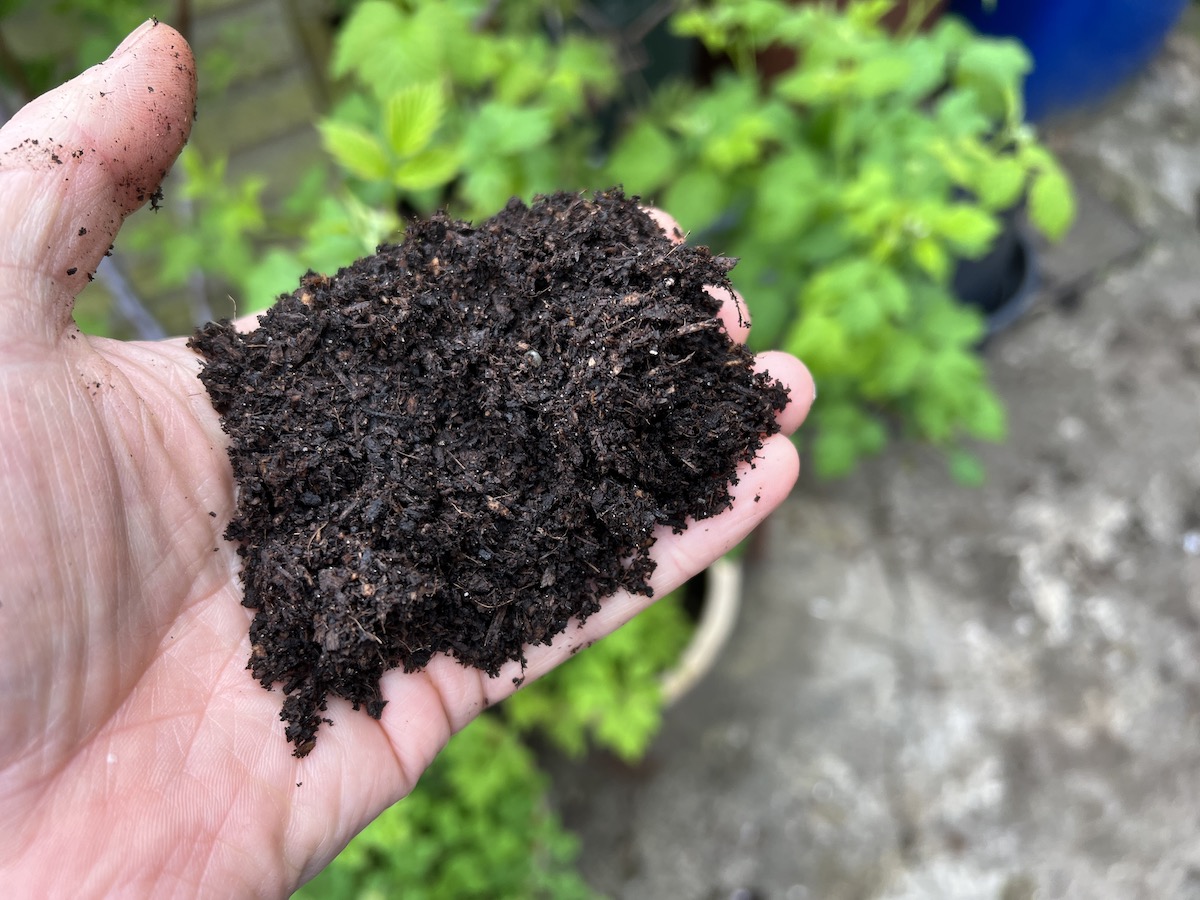 This is Sylvagrow compost which is a blend but mainly composted bark and woodchip. It's also nice to work with and lasts a long time. 