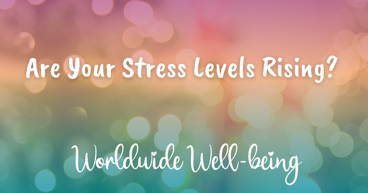 Are Your Stress Levels Rising in December? - Sarie Taylor