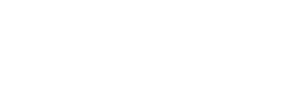 True Nomad Communications logo