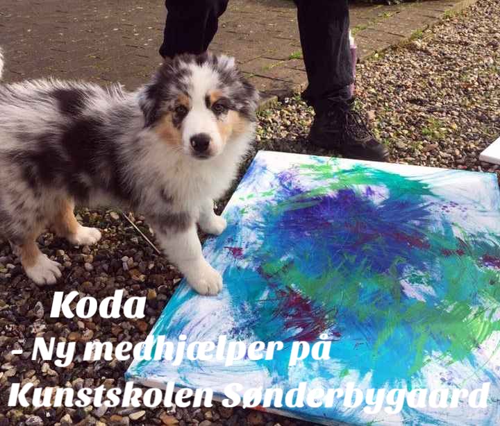 Koda.jpg