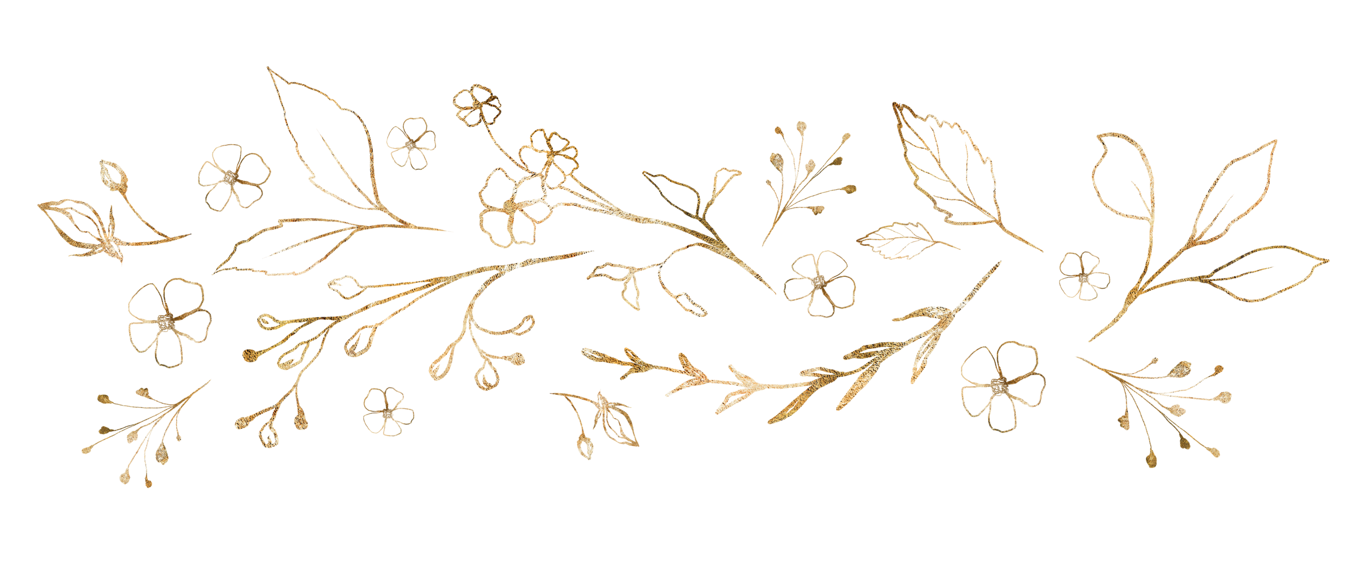 g (11).png