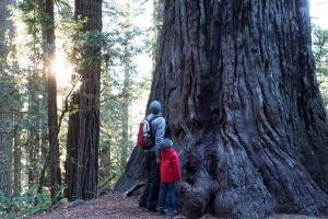 Parent and child looking upwards