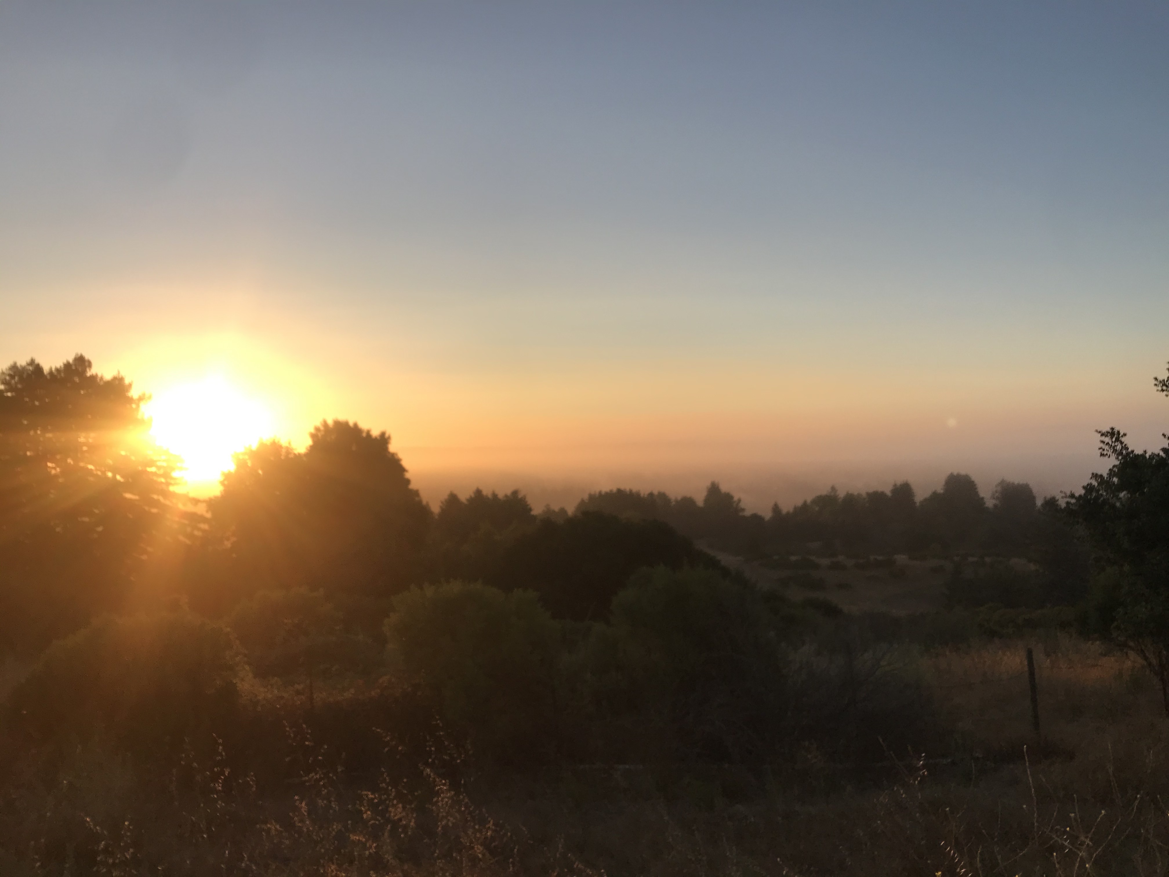 Sunrise at UCSC