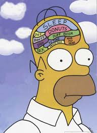 Billedresultat for brain fun