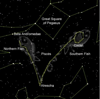 pisces constellation in the night sky