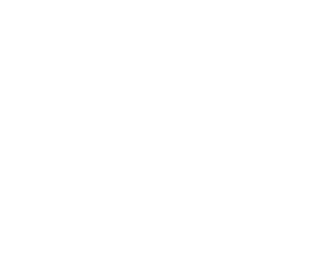 storyintensive-logo-white