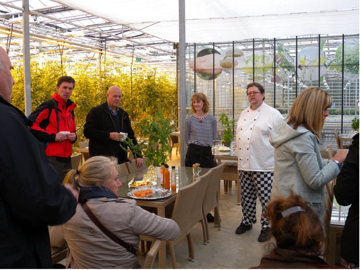 Friedheimar tomato farm