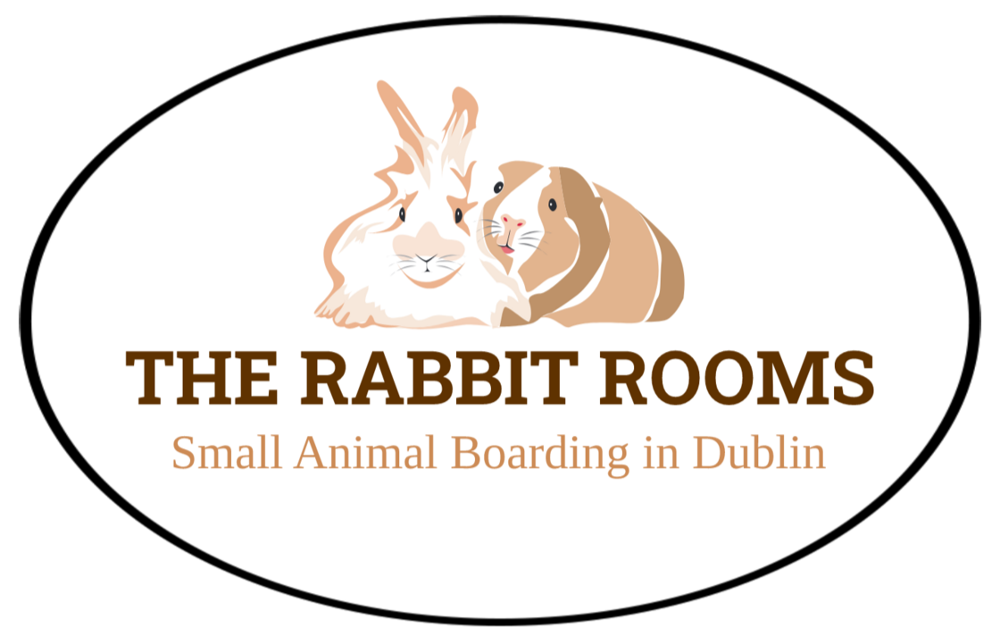The Rabbit Rooms Small Animal boarding in Dublin